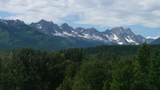 The mountains outside Fernie, Canada