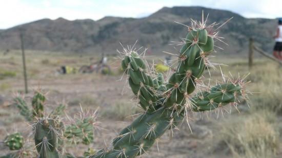 See! It was real desert, with cactii and everything