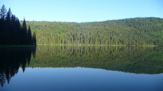 Reflections in Upper Whitefish Lake